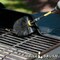 Drillbrush Outdoor - Grill - Grill Accessories - Grill Brush - Gas Grill - Electr O-K-5X-QC-DB - alternate 2